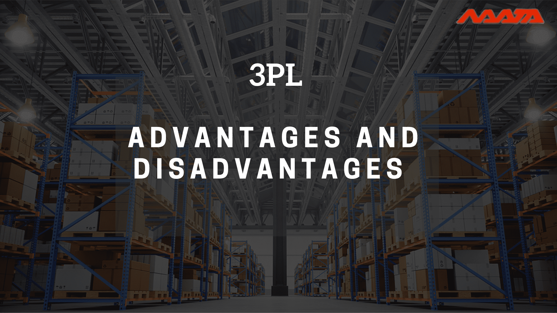 Read more about the article Discussing The Advantages and Disadvantages of 3pl